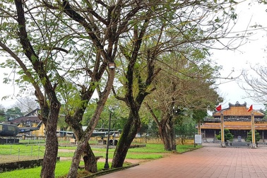 Chuyển Bảo tàng Lịch sử Thừa Thiên Huế đến nơi mới vào 2019