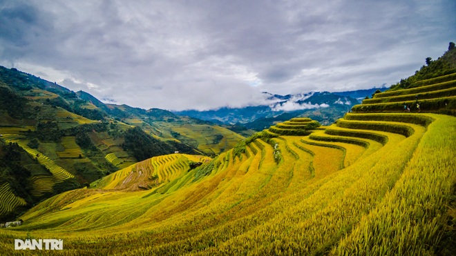 Chạy bộ khám phá vẻ đẹp rực rỡ của những bản làng Mù Cang Chải - 6 Chạy bộ khám phá vẻ đẹp rực rỡ của những bản làng Mù Cang Chải - 6