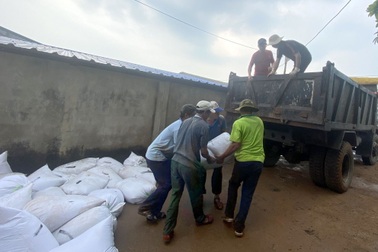 Tiêu hủy gần 480 tấn hải sản tồn kho "mắc kẹt" sau sự cố Formosa