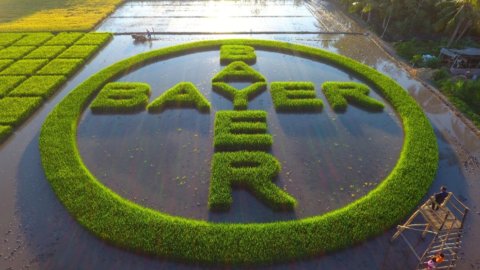 Bayer trên hành trình hiện thực hóa tầm nhìn tại Việt Nam - 3 Bayer trên hành trình hiện thực hóa tầm nhìn tại Việt Nam - 3