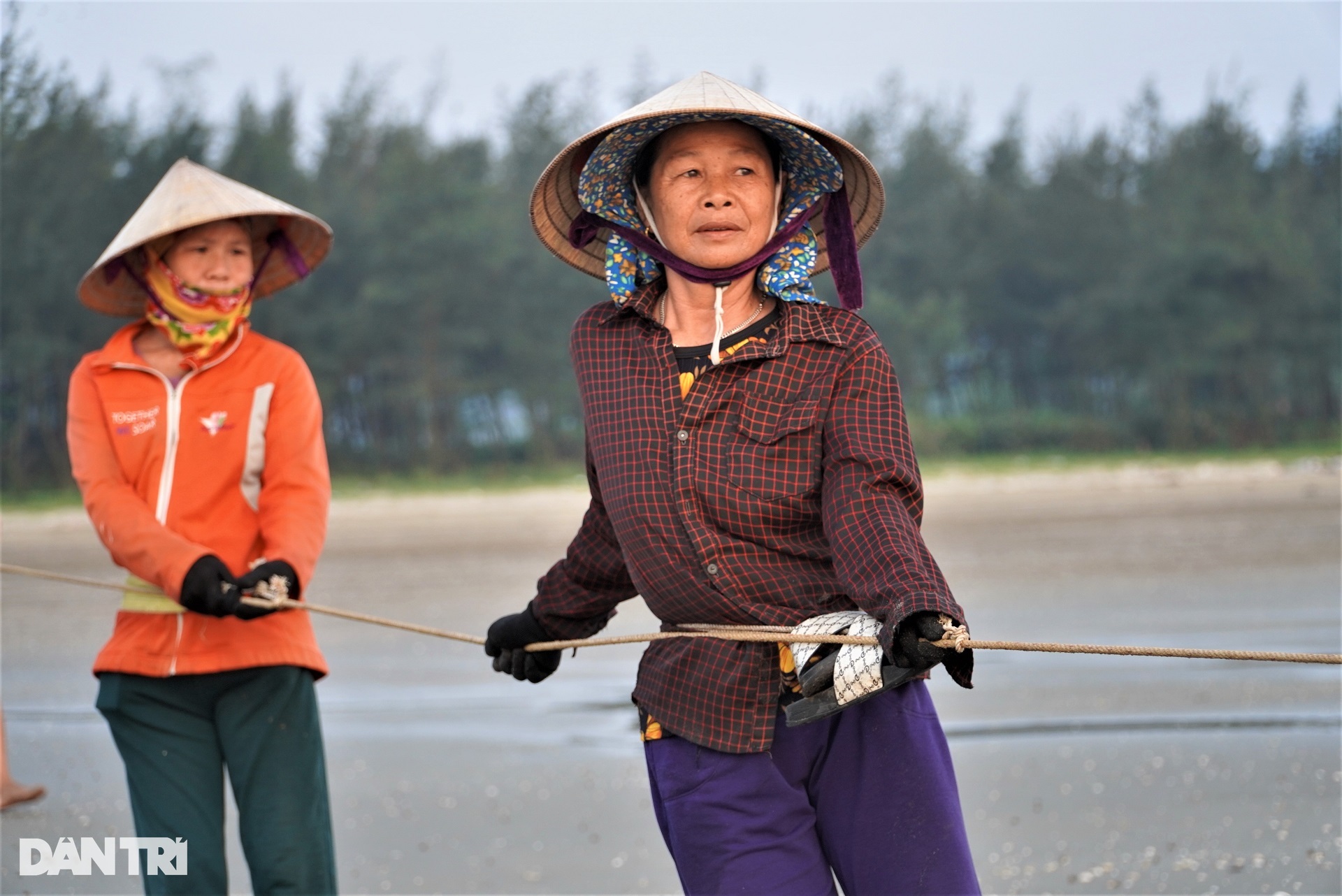 Nhóm người tập thể dục trên bãi biển cũng mang về hàng chục ký mực tươi - 4 Nhóm người tập thể dục trên bãi biển cũng mang về hàng chục ký mực tươi - 4