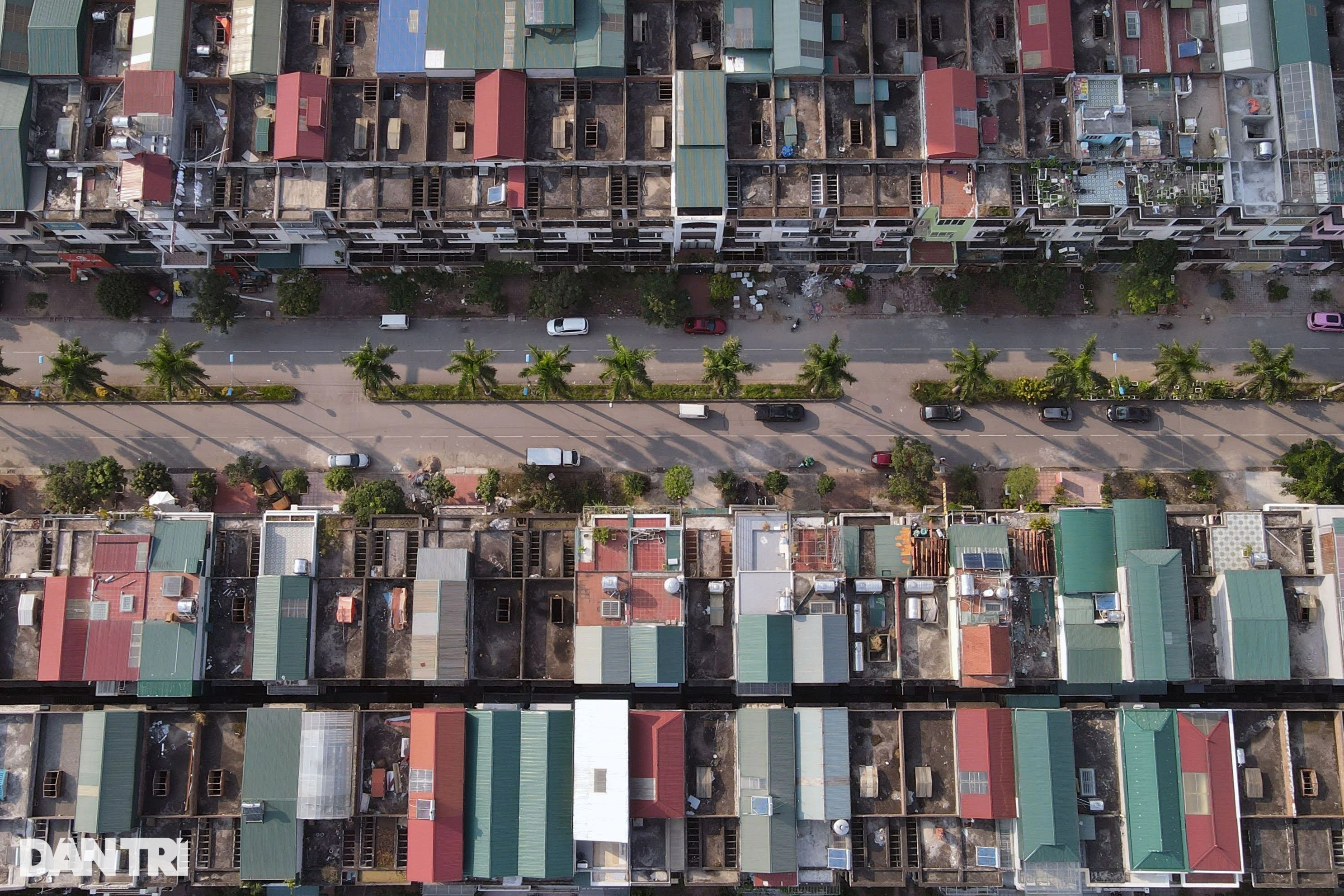 View - Chuối mọc um tùm trong biệt thự bỏ hoang ở một khu đô thị phía Tây Hà Nội | Báo Dân trí