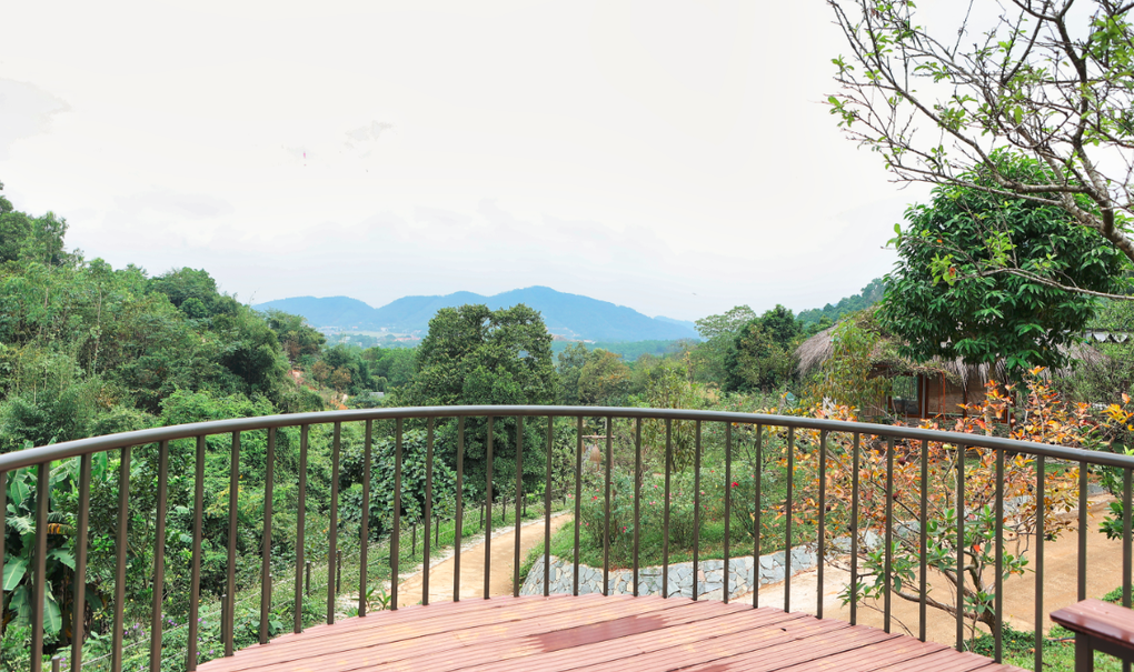 Đã mắt ngắm nhà vườn rộng 12.000m2 của ca sĩ Việt Hoàn - 17 Đã mắt ngắm nhà vườn rộng 12.000m2 của ca sĩ Việt Hoàn - 17