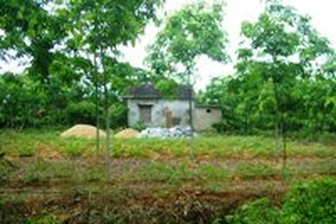 Hơn 200 hộ dân “dài cổ” chờ sổ đỏ