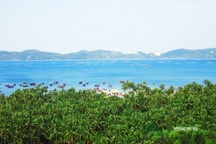 Everland tài trợ lập đồ án quy hoạch khu đô thị du lịch biển Nam Sông Cầu