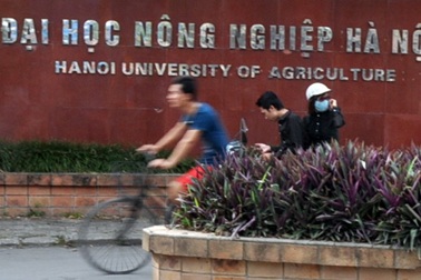 Nhiều trường xin được đào tạo lại ngành Tiến sĩ