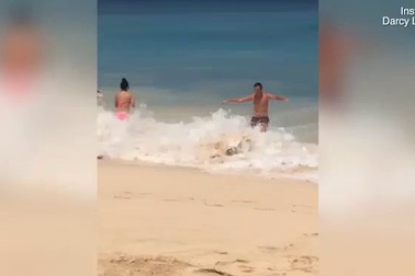 Video cô gái mặc bikini bị sóng đánh ngã lăn khi đang tạo dáng