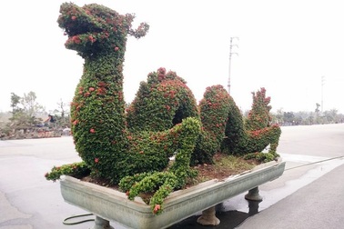 Những linh vật “khủng” tạo hình từ hàng trăm cây hoa mẫu đơn