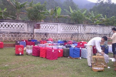 Ngắm những chú chim chào mào hót trong hội thi chim