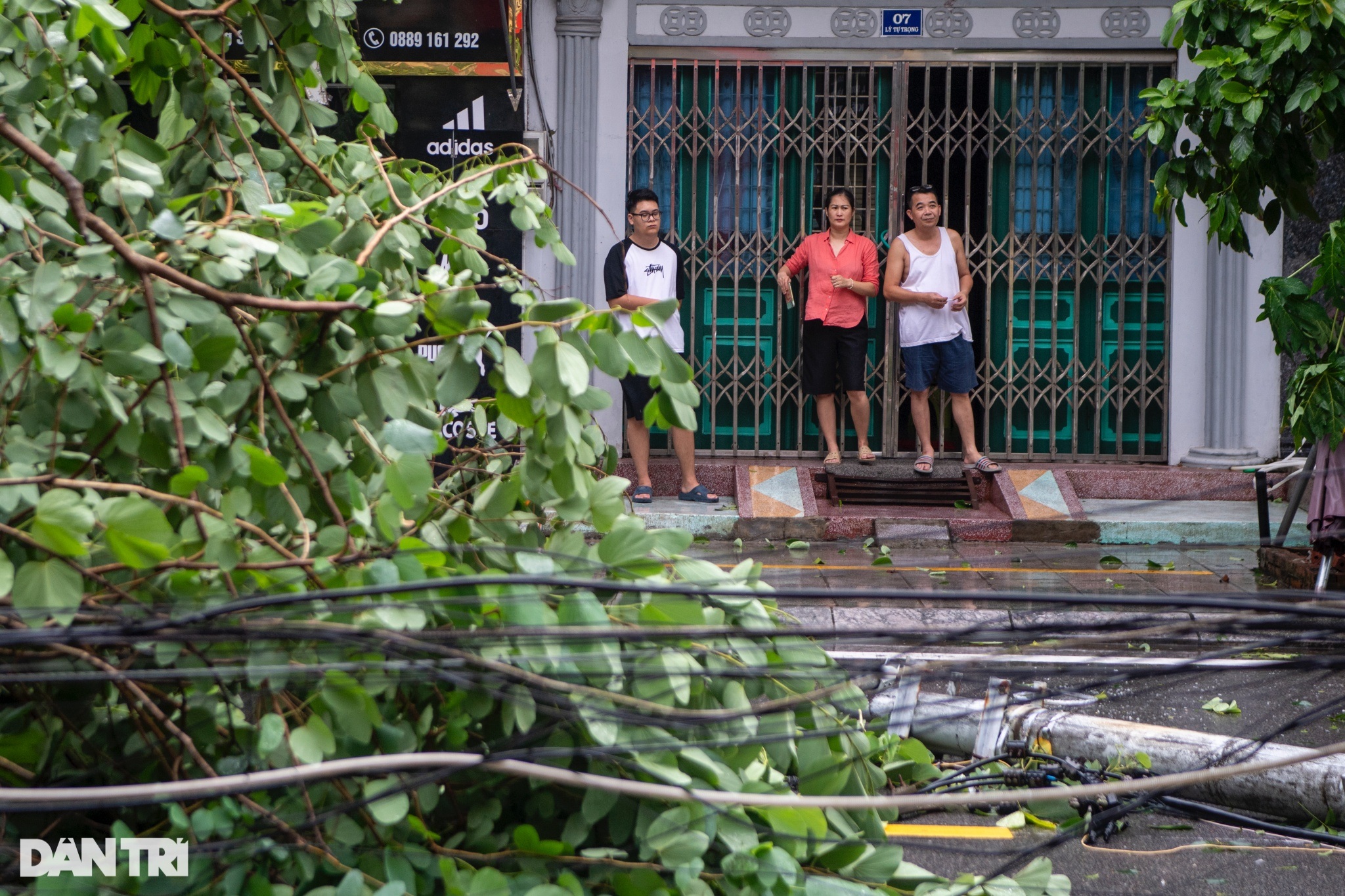 View - Cây đổ, rác thải bủa vây TP Móng Cái sau khi bão Yagi vào đất liền | Báo Dân trí