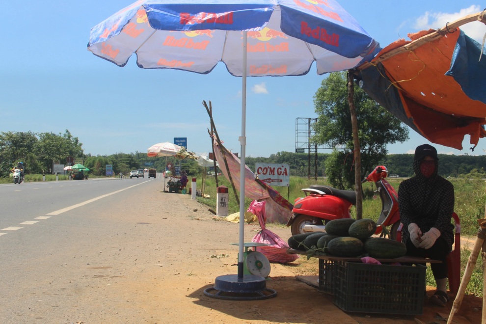 Thu nhập cao hơn cây lúa nhờ trồng dưa trái vụ - 11 Thu nhập cao hơn cây lúa nhờ trồng dưa trái vụ - 11