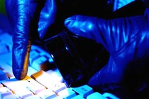 Một loạt trang web của chính phủ Mỹ, Hàn bị tin tặc tấn công 