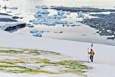 Biến đổi khí hậu biến tuyết Nam Cực thành màu xanh
