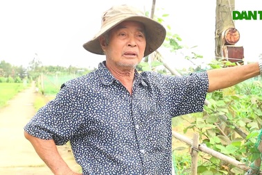 Vùng rau Bàu Tròn hư hỏng nặng do mưa lớn bất thường vào dịp cuối năm