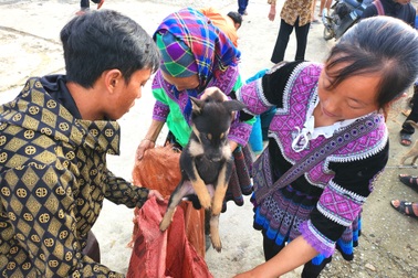 Lên Bắc Hà đi chợ phiên đặc sắc nhất Đông Nam Á