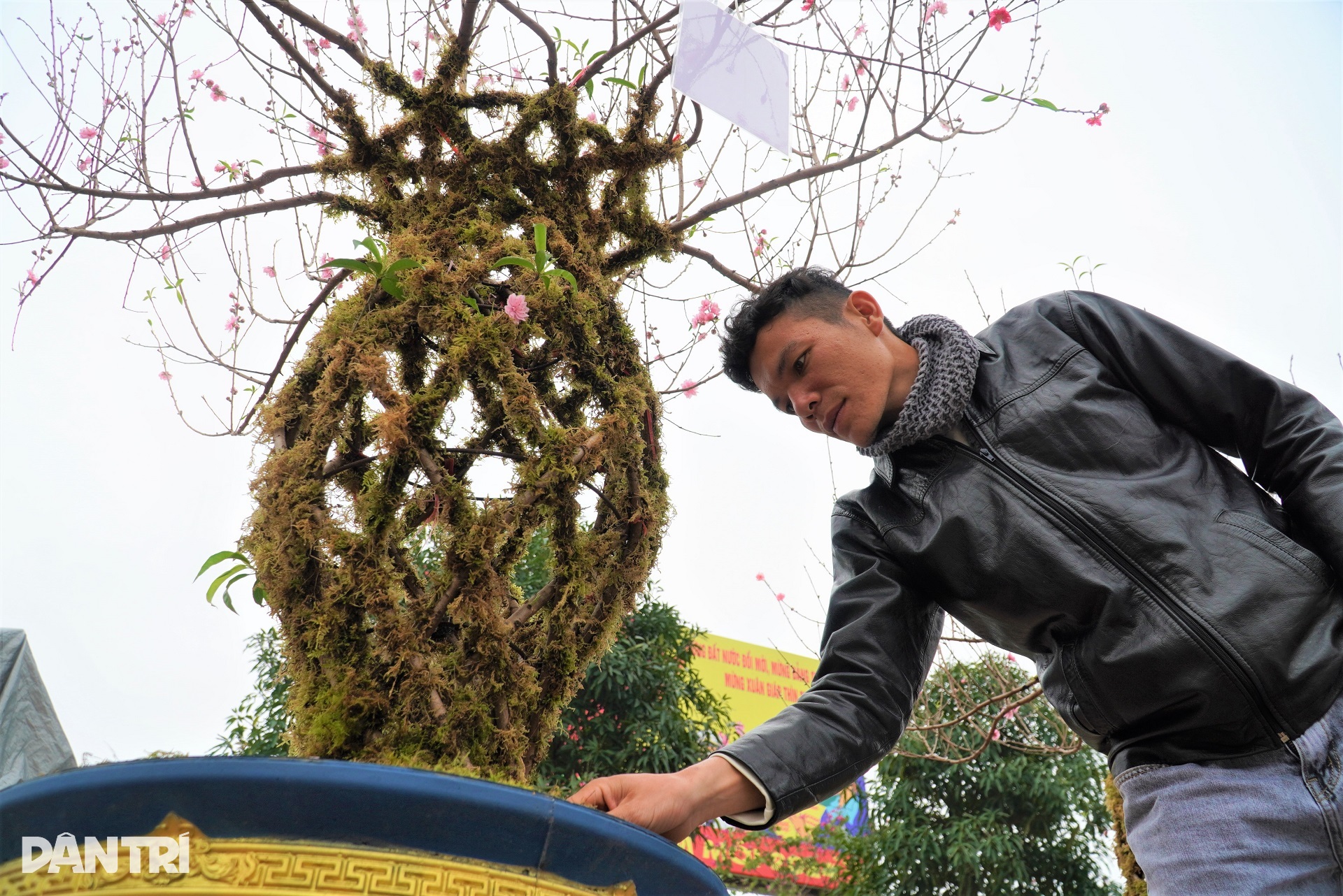 Unikátní váza s broskvovým květem v ceně kolem 10 milionů VND byla uvedena na trh k Roku draka 2024 - 6 Đào lộc bình độc lạ giá trên dưới 10 triệu đồng ra mắt Tết Giáp Thìn 2024 - 6