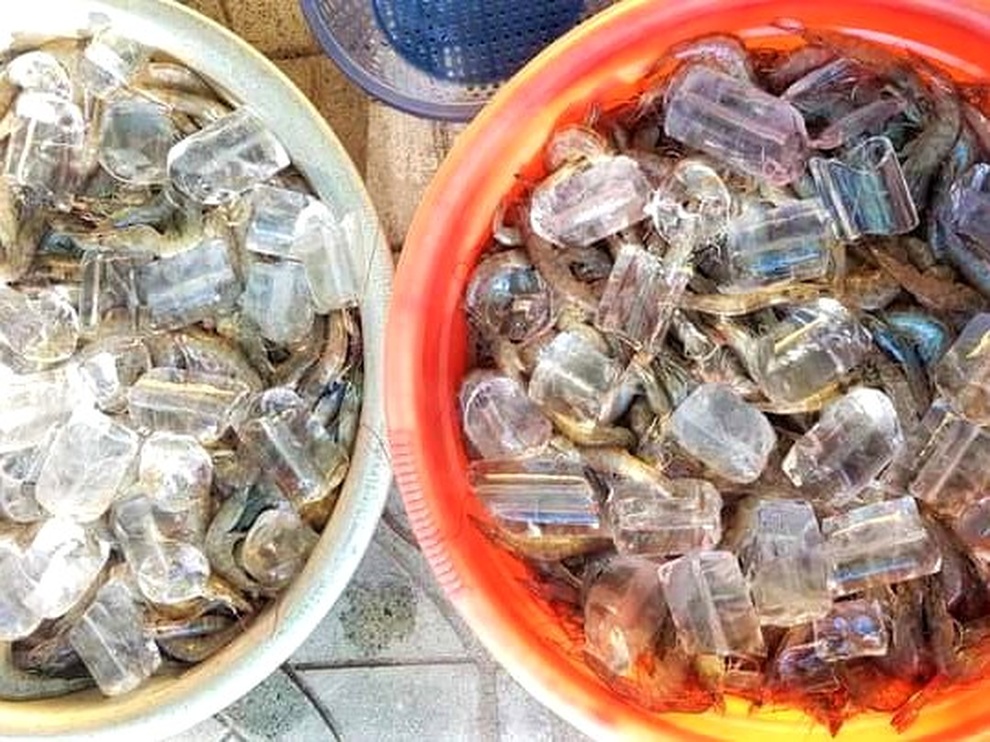 Phiên chợ 0 đồng đặc biệt tại Hội An: Mua hàng tùy thích - 4 Phiên chợ 0 đồng đặc biệt tại Hội An: Mua hàng tùy thích - 4