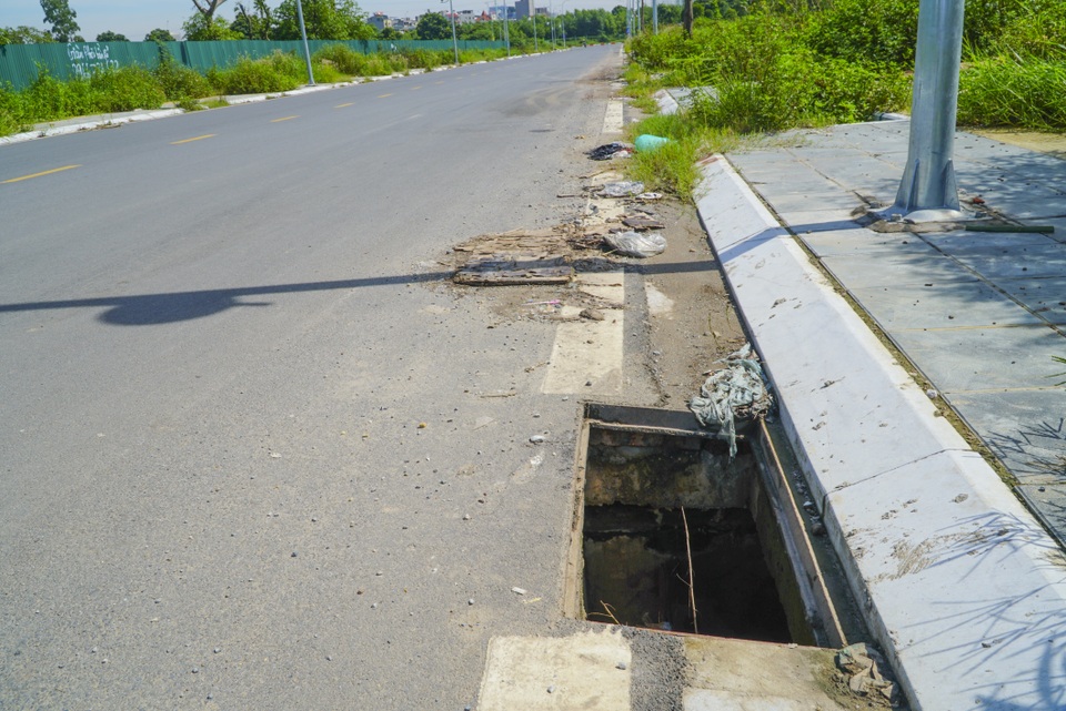Hà Nội: Hàng trăm cây xanh tiếp tục đột tử trên con đường mới mở - 12 Hà Nội: Hàng trăm cây xanh tiếp tục đột tử trên con đường mới mở - 12