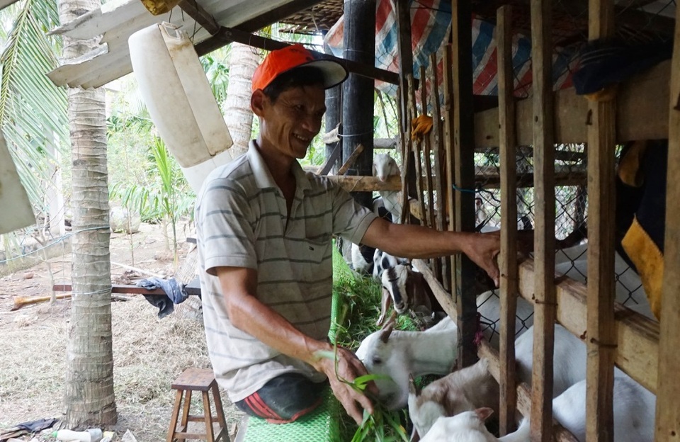 Thán phục người đàn ông bị cụt 2 chân vẫn đào đất, leo dừa thoăn thoắt - 5 Thán phục người đàn ông bị cụt 2 chân vẫn đào đất, leo dừa thoăn thoắt - 5