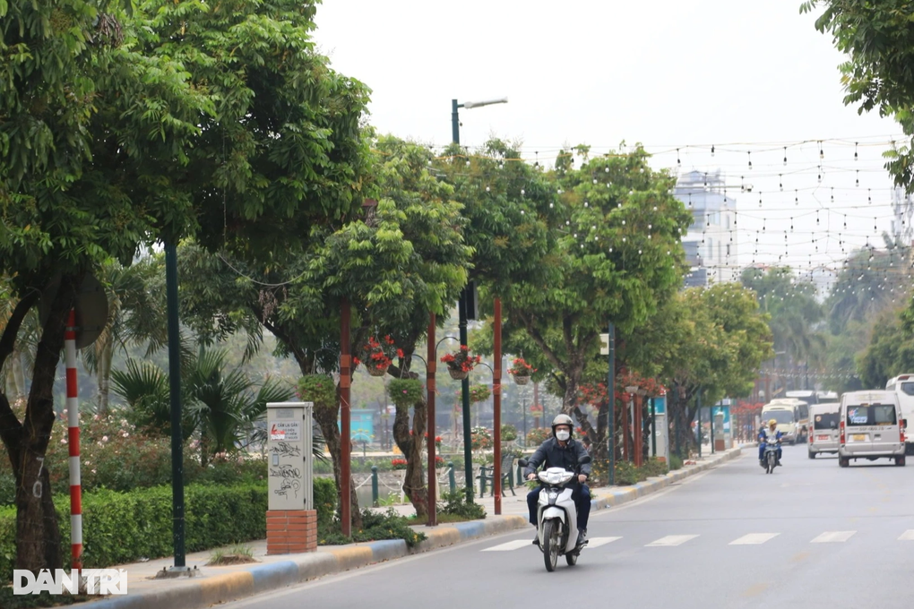 Sở Xây dựng Hà Nội nói về đề nghị di chuyển 55 cây ở phố Vũ Tuấn Chiêu - 1 Sở Xây dựng Hà Nội nói về đề nghị di chuyển 55 cây ở phố Vũ Tuấn Chiêu - 1