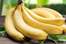 Chuối tiêu- vị thuốc quý của người bệnh gan, tăng huyết áp