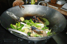 Chiên ve sầu làm mồi nhậu, 4 người nguy kịch