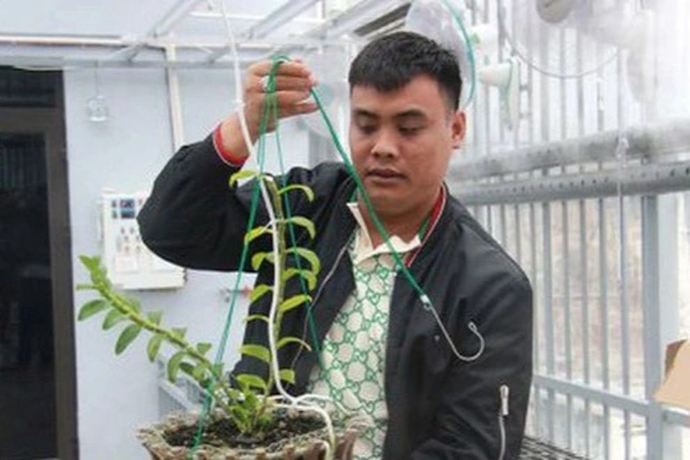 Đại gia lan đột biến tàng trữ than lậu suốt 4 năm: Tỉnh Hải Dương nói gì? - 1 Đại gia lan đột biến tàng trữ than lậu suốt 4 năm: Tỉnh Hải Dương nói gì? - 1
