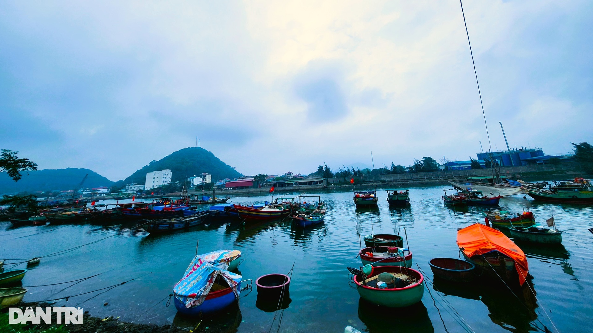 Làng đỏ lửa suốt ngày đêm nướng đủ loại cá, cày vụ Tết - 1 Làng đỏ lửa suốt ngày đêm nướng đủ loại cá, cày vụ Tết - 1