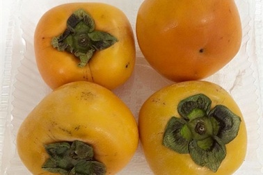 Hồng Đà Lạt 2.000/kg ế thối, ăn sang hồng Nhật 400 ngàn/kg