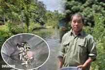 Lão nông chỉ học hết lớp 3, thành đại gia nhờ nhân giống loài cá đặc sản