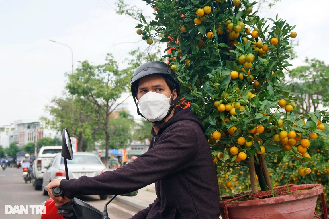 Chợ cuối năm, người bán hoa Tết đồng loạt xả hàng vớt cú chót - 5 Chợ cuối năm, người bán hoa Tết đồng loạt xả hàng vớt cú chót - 5