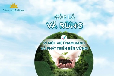 70 ngày và hành trình phủ xanh hơn 27 ha rừng của Vietnam Airlines