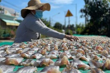 Các làng khô cá chạy đua chuẩn bị hàng Tết