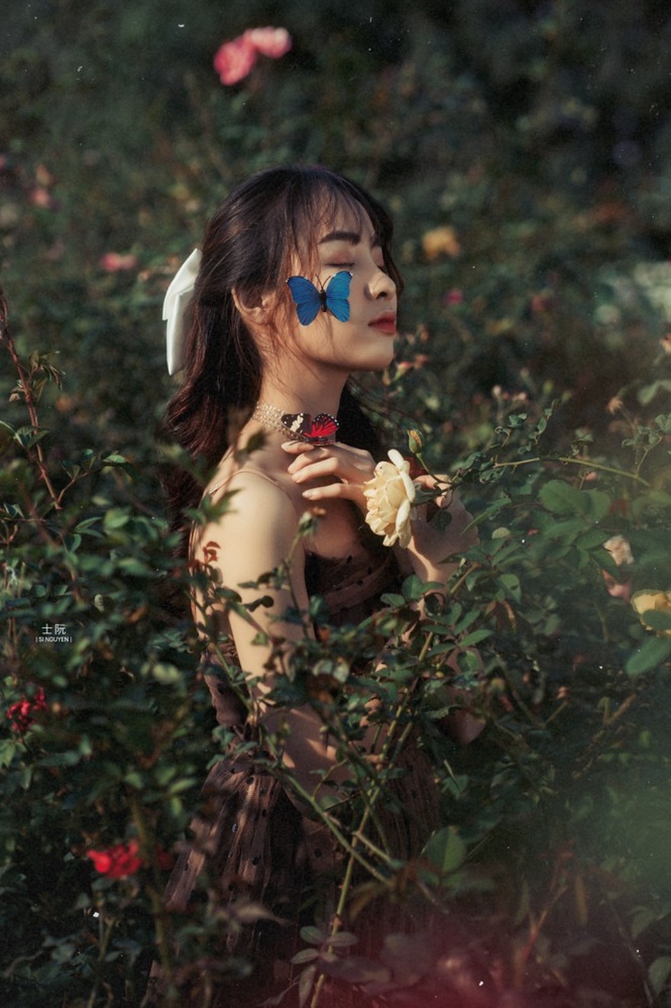 Nữ sinh Bách khoa hóa công chúa mơ màng giữa rừng hoa - 2 Nữ sinh Bách khoa hóa công chúa mơ màng giữa rừng hoa - 2