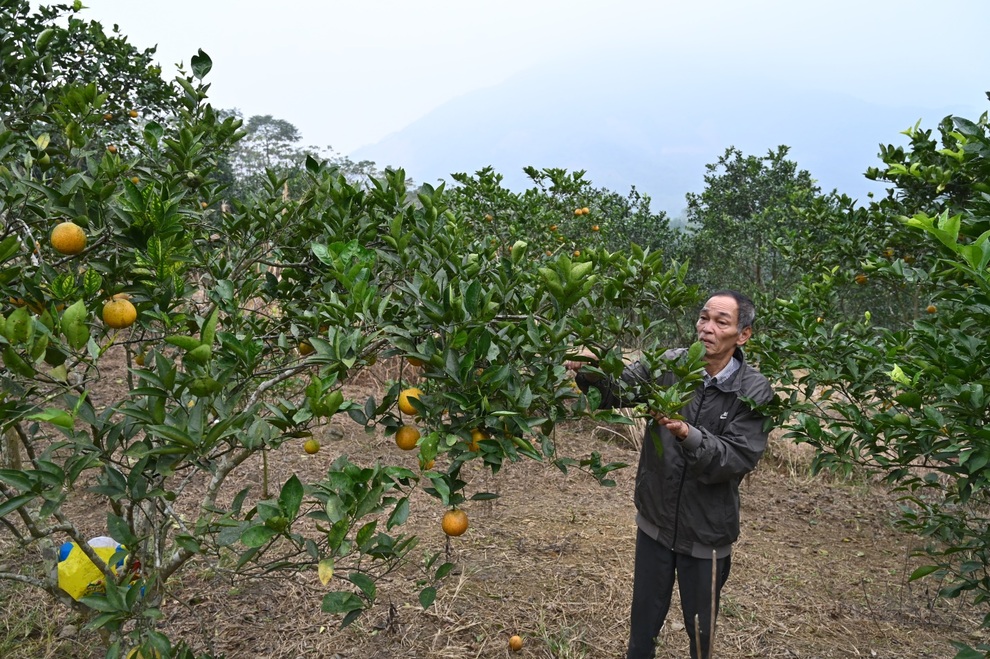 Phúc Khánh đặt mục tiêu đến năm 2030, tỷ lệ hộ nghèo giảm còn 2,5-3,5% - 1