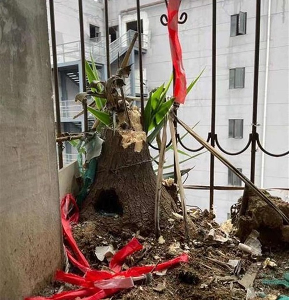 Cư dân hốt hoảng với mối nguy treo trên đầu từ căn hộ bỏ hoang 6 năm - 2