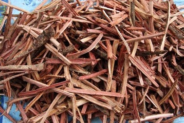 Một “báu vật” của người miền núi sắp bị tận diệt