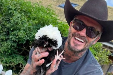 Cuộc sống thảnh thơi nuôi gà, chăm cây của tỷ phú David Beckham
