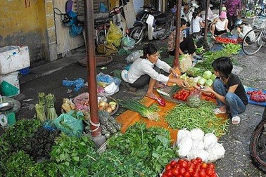 “Mua máy khử độc Ozone làm gì cho tốn tiền”
