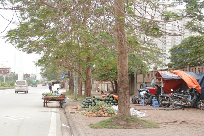 Hà Nội: Lấy mác giải cứu nông sản để chiếm vỉa hè nhiều tuyến phố - 13 Hà Nội: Lấy mác giải cứu nông sản để chiếm vỉa hè nhiều tuyến phố - 13