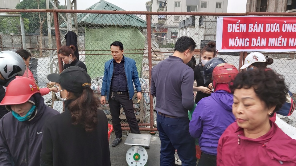 Dân Hà Nội đổ xô mua dưa hấu giải cứu nông dân các tỉnh phía Nam - 4 Dân Hà Nội đổ xô mua dưa hấu giải cứu nông dân các tỉnh phía Nam - 4