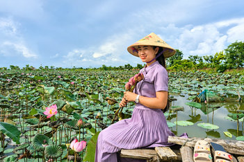 Nữ cán bộ thu 300 triệu đồng/năm nhờ trồng loài cây “không bỏ đi thứ gì”