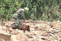 Tạm dừng tìm kiếm công nhân mất tích ở Rào Trăng 3