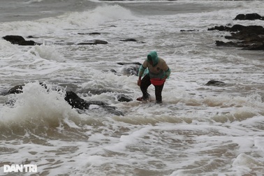 Nghề rình sóng biển, nhăm nhe "hái" tiền