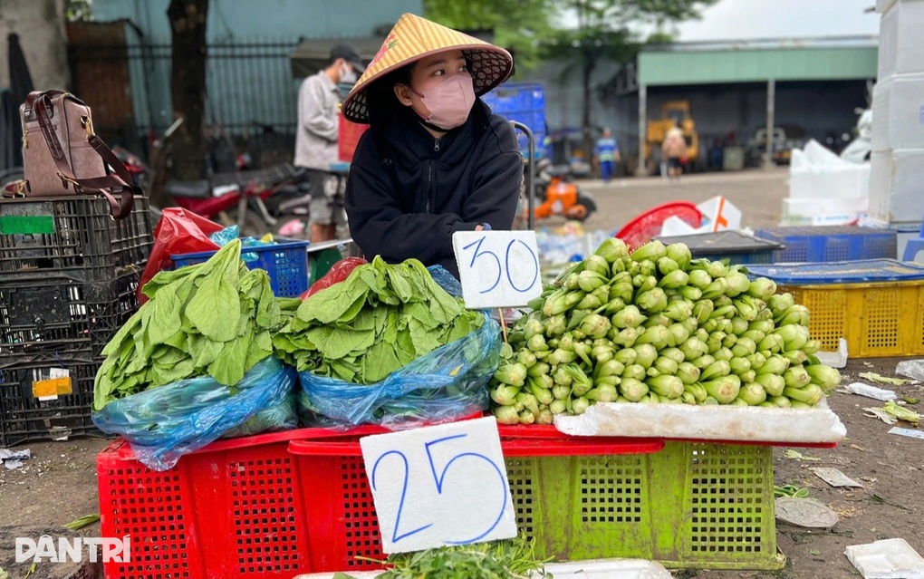 Giá rau nhảy múa, Hà Nội kích hoạt kịch bản dự trữ hàng Tết - 1 Giá rau nhảy múa, Hà Nội kích hoạt kịch bản dự trữ hàng Tết - 1