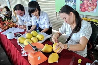 Làm gì để khởi nghiệp tại Đồng bằng sông Cửu Long có hiệu quả?