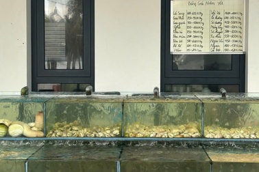 Vụ khách ăn hải sản 13,5 triệu đồng ở Hạ Long: Phạt nhà hàng 750.000 đồng