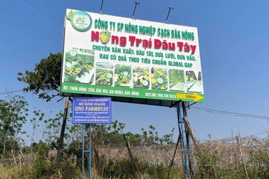 Vụ chủ tịch xã "khai tử" hộ kinh doanh: Yêu cầu họp chấn chỉnh