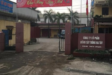 Quận Hà Đông chỉ đạo xử lý nghiêm vụ dàn ki ốt “bủa vây” công ty Giống cây trồng Hà Tây