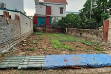 Cò đất đua nhau đẩy giá ở Thường Tín; tiết lộ vụ suýt mất nghìn tỷ thuế BĐS